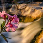 Primavera lluviosa