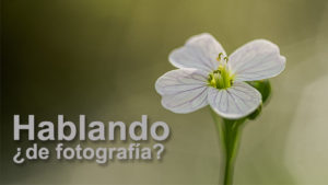 01 Entrada